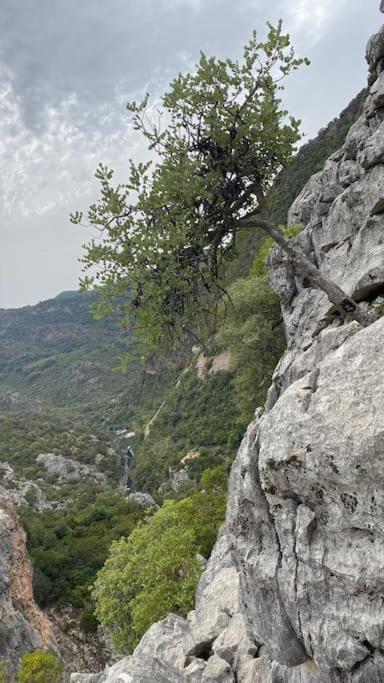 Casa Buitreras Διαμέρισμα El Colmenar Εξωτερικό φωτογραφία