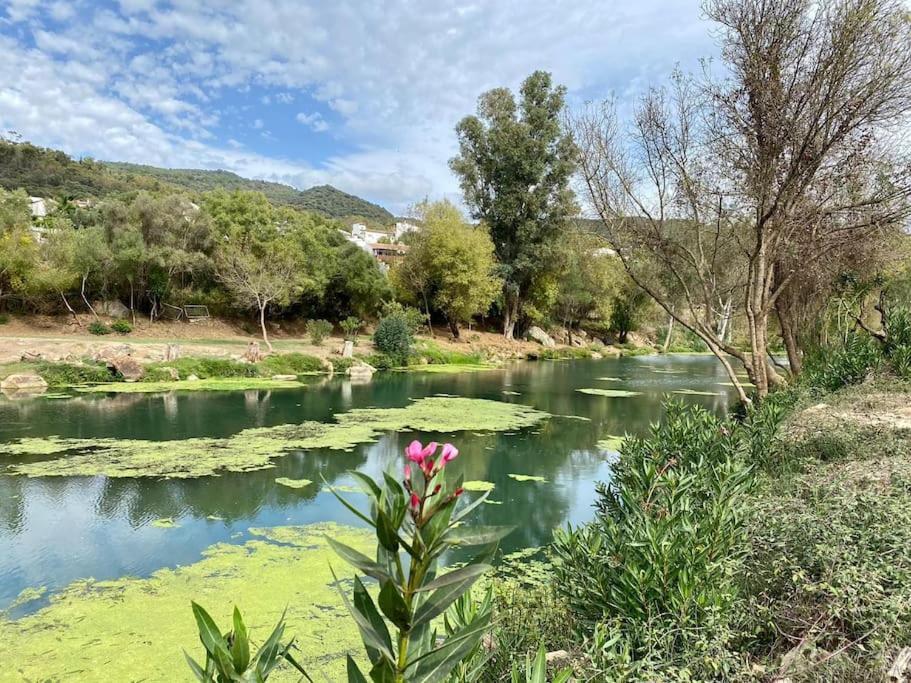 Casa Buitreras Διαμέρισμα El Colmenar Εξωτερικό φωτογραφία
